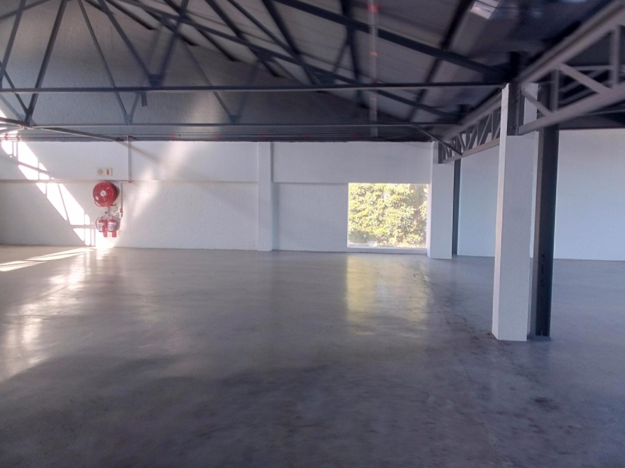 To Let commercial Property for Rent in Diep River Western Cape